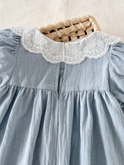 Vestido Bebê Menina Evasê Renda Aplique Pato