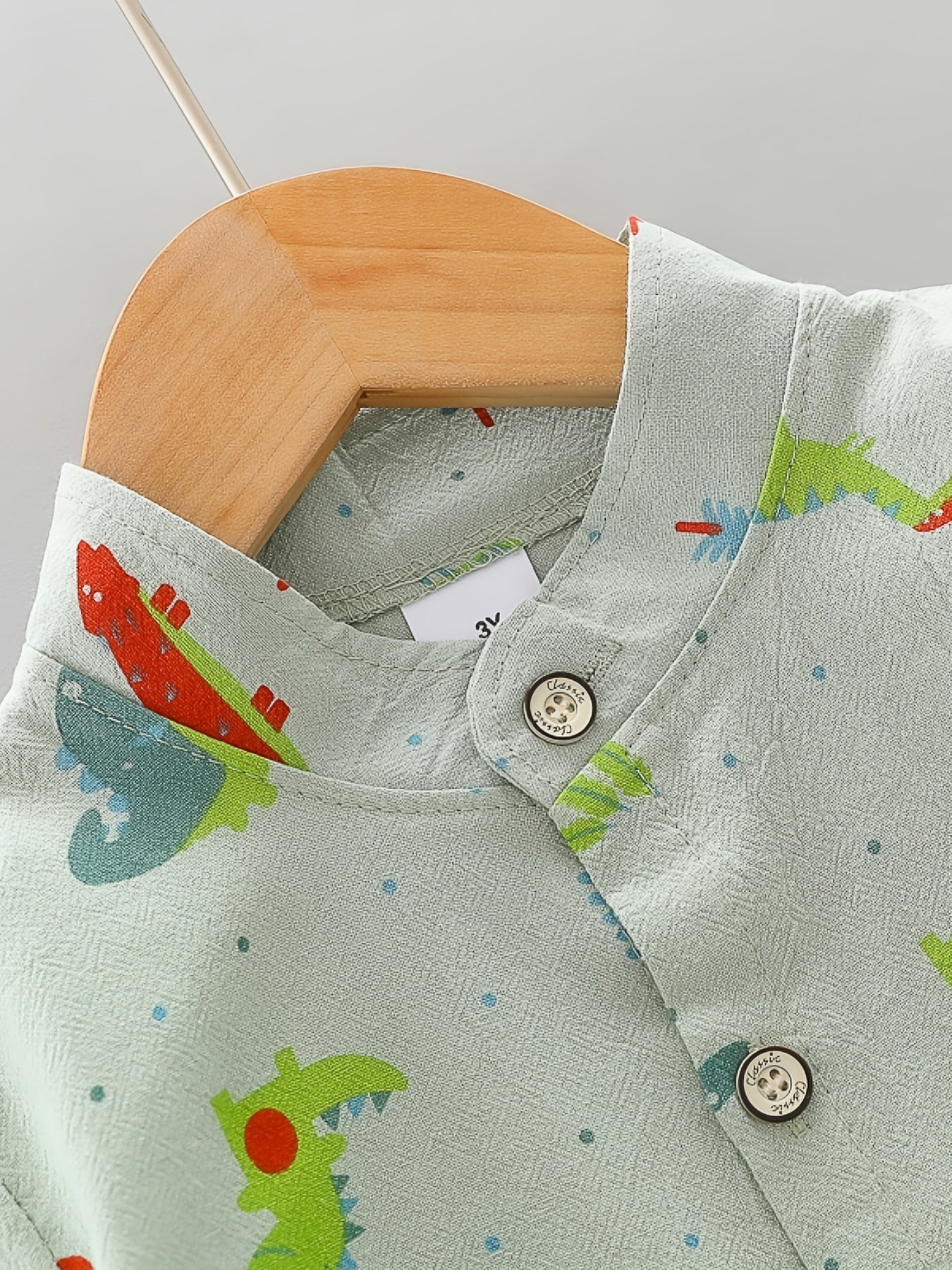 Conjunto Infantil Masculino 2 Peças Camisa Manga Curta Estampa Dinossauros e Shorts Conjunto Menino 25 Kabannas 