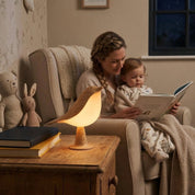 Luminária Pássaro LED Toque Recarregável 3 Cores Luminária de Mesa 02 Kabannas 