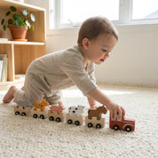 Trem Montessori de Madeira com Animais Brinquedo Educativo Infantil Brinquedos de Madeira 13 Kabannas 
